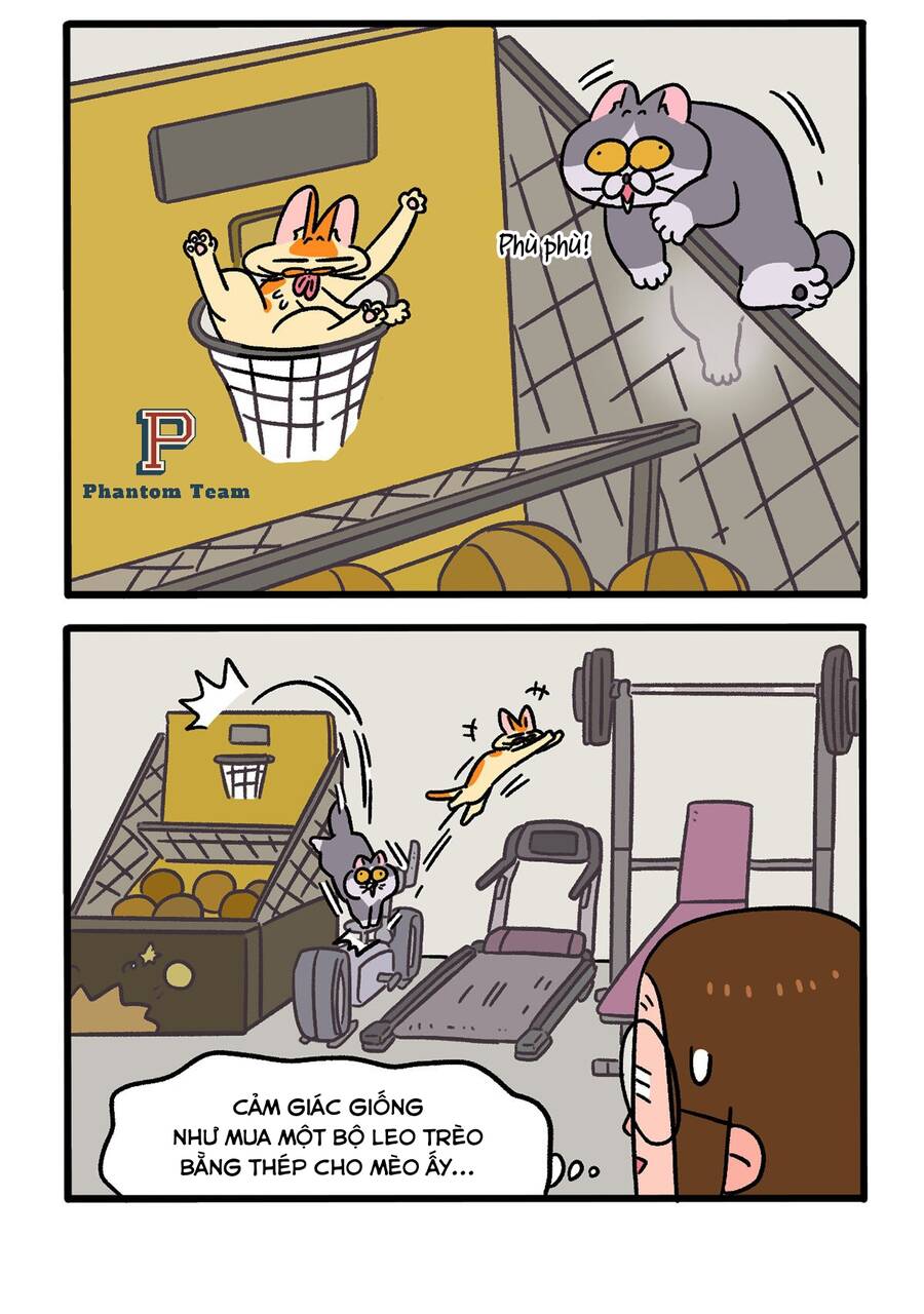 A Mãn Và Mạch Trà Chapter 120.1 - 4