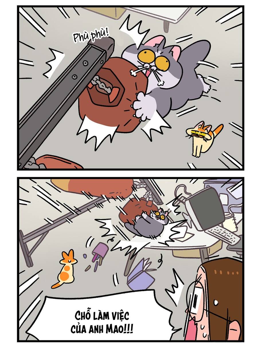 A Mãn Và Mạch Trà Chapter 120.1 - 6