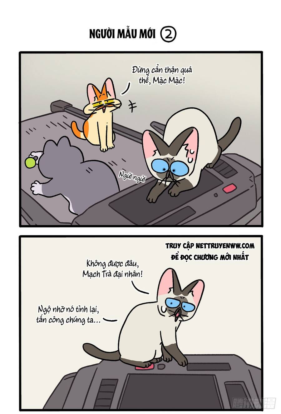 A Mãn Và Mạch Trà Chapter 121 - 3