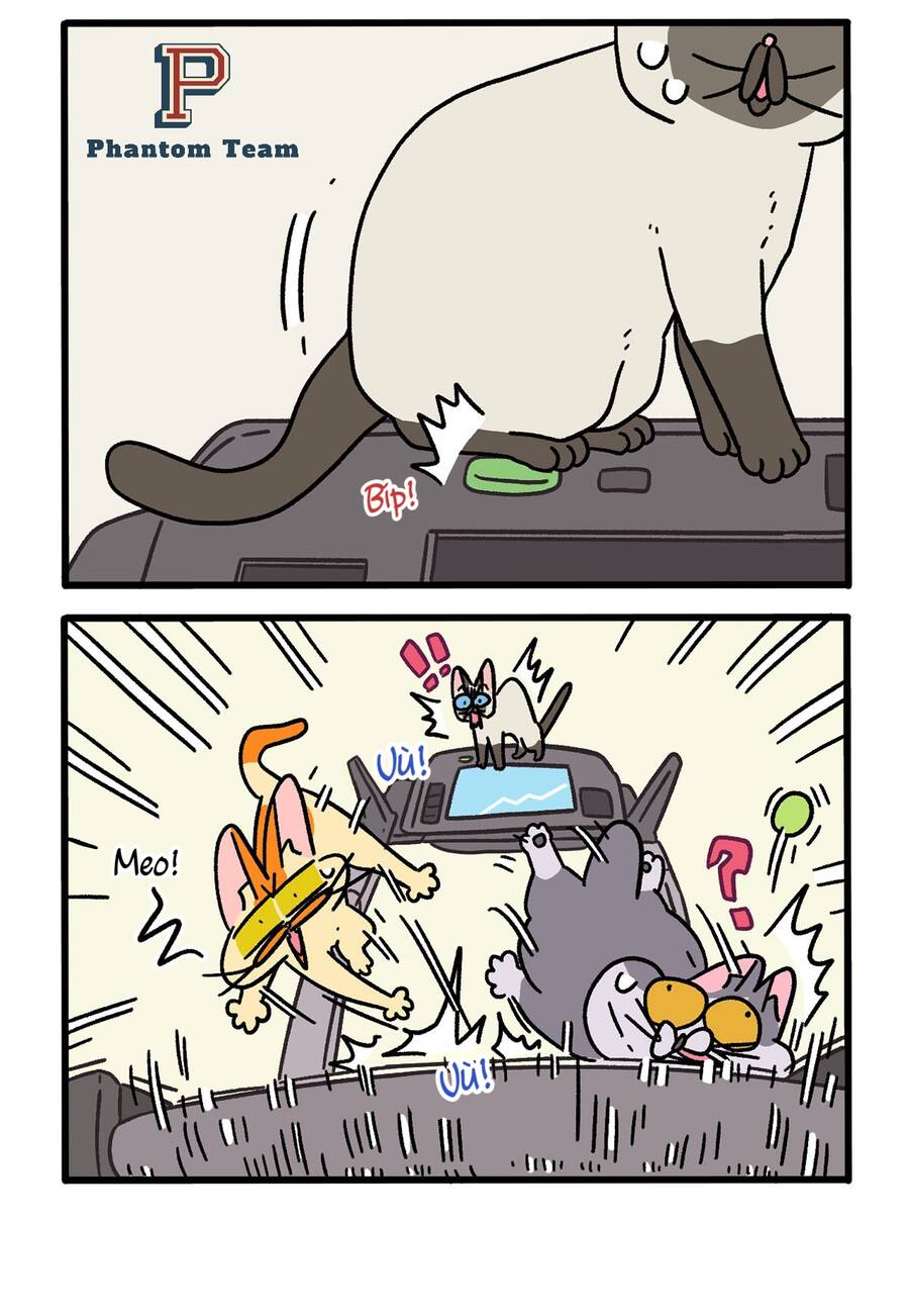 A Mãn Và Mạch Trà Chapter 121 - 4