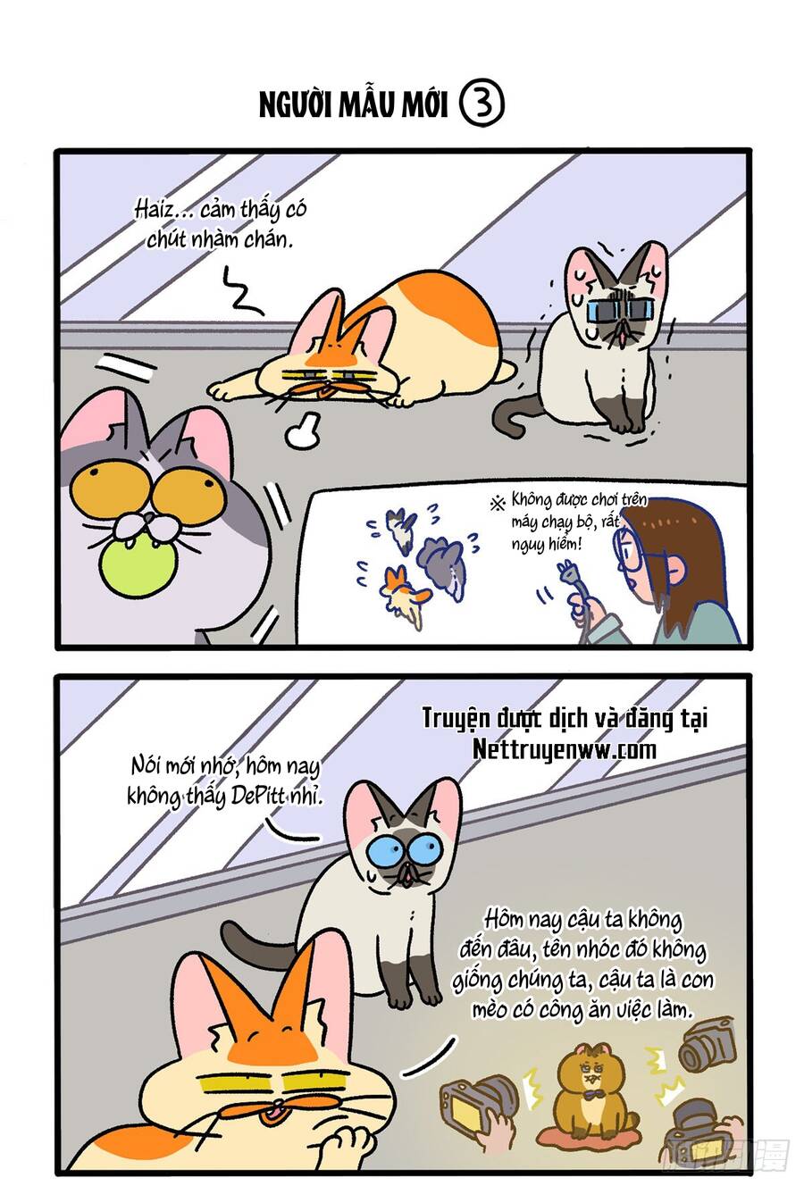 A Mãn Và Mạch Trà Chapter 121 - 5