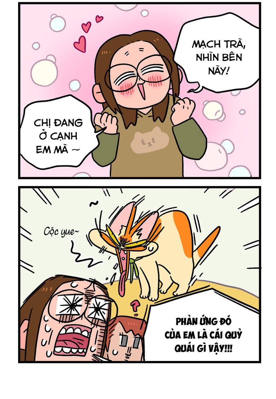 A Mãn Và Mạch Trà Chapter 122.1 - 6