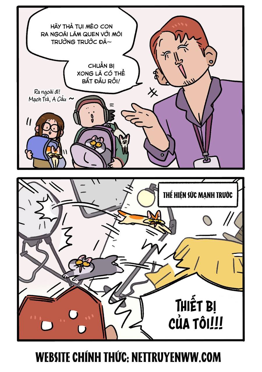A Mãn Và Mạch Trà Chapter 122 - 2