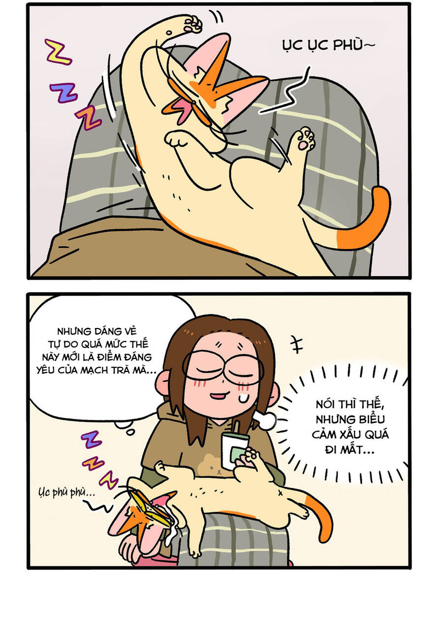 A Mãn Và Mạch Trà Chapter 123.1 - 2
