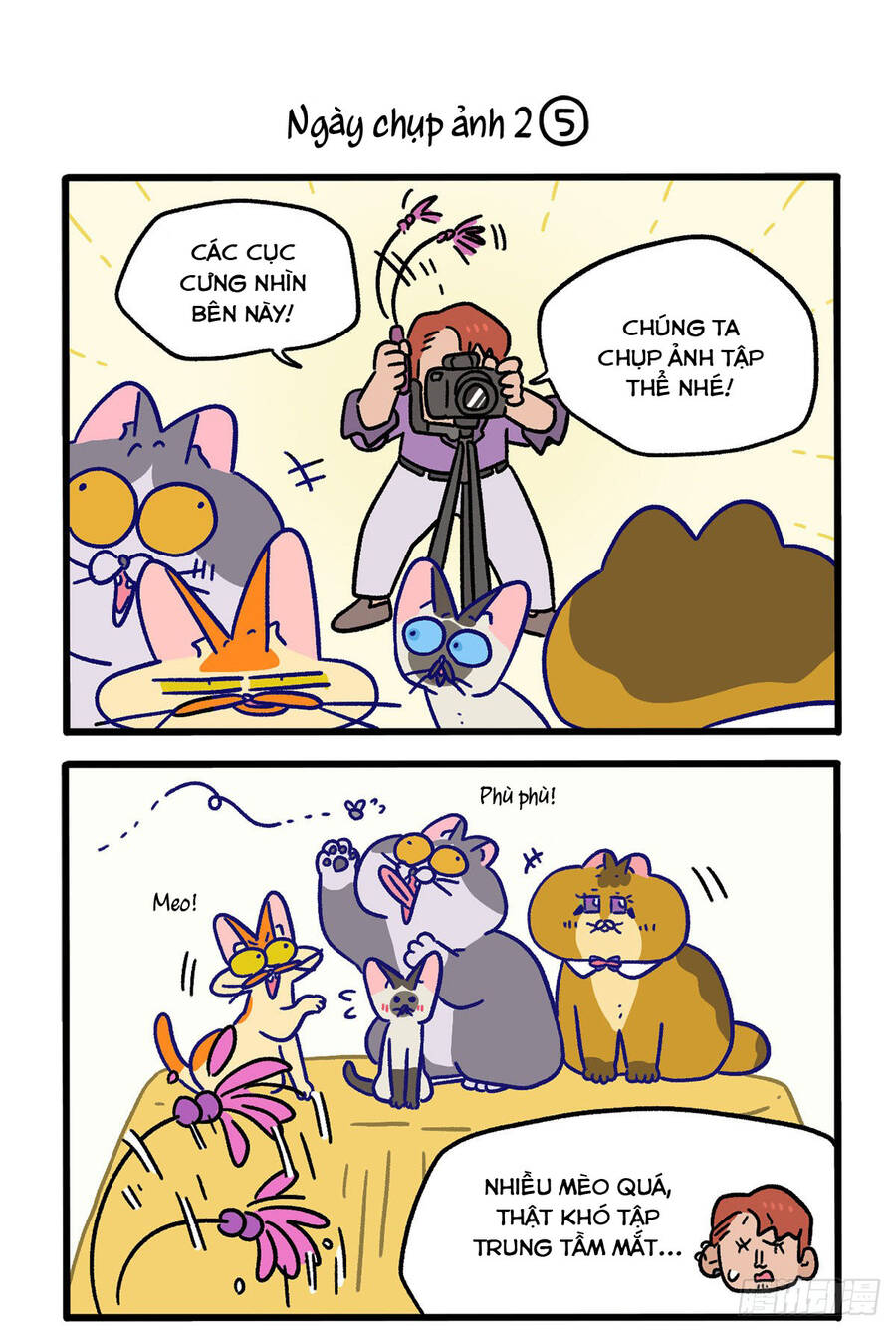 A Mãn Và Mạch Trà Chapter 123.1 - 3