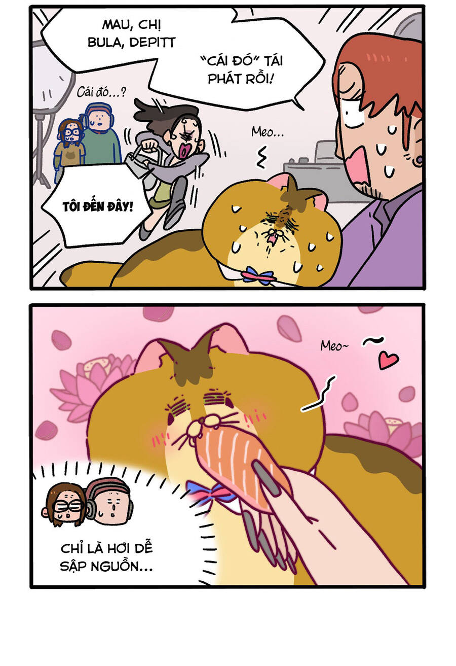 A Mãn Và Mạch Trà Chapter 123 - 2