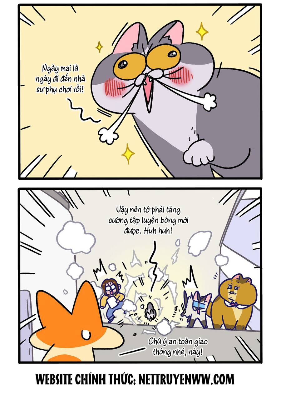 A Mãn Và Mạch Trà Chapter 124 - 2