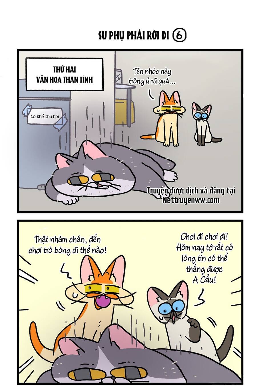 A Mãn Và Mạch Trà Chapter 125.1 - 5