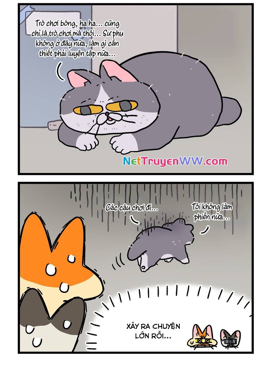 A Mãn Và Mạch Trà Chapter 125.1 - 6