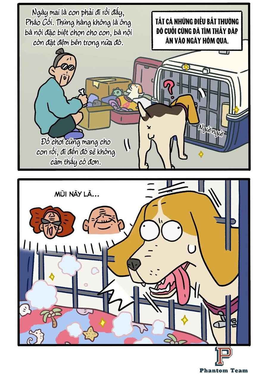 A Mãn Và Mạch Trà Chapter 125 - 4