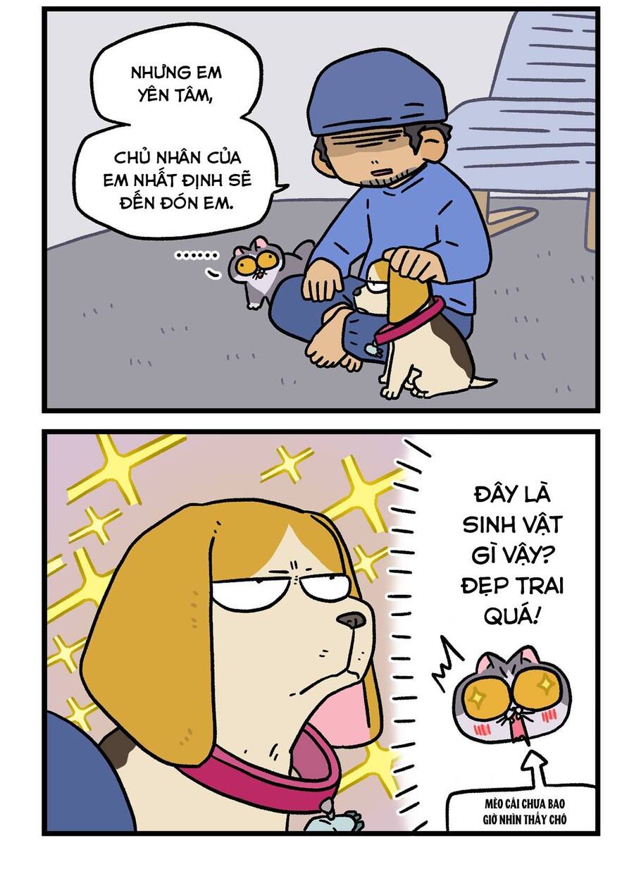 A Mãn Và Mạch Trà Chapter 127.1 - 5