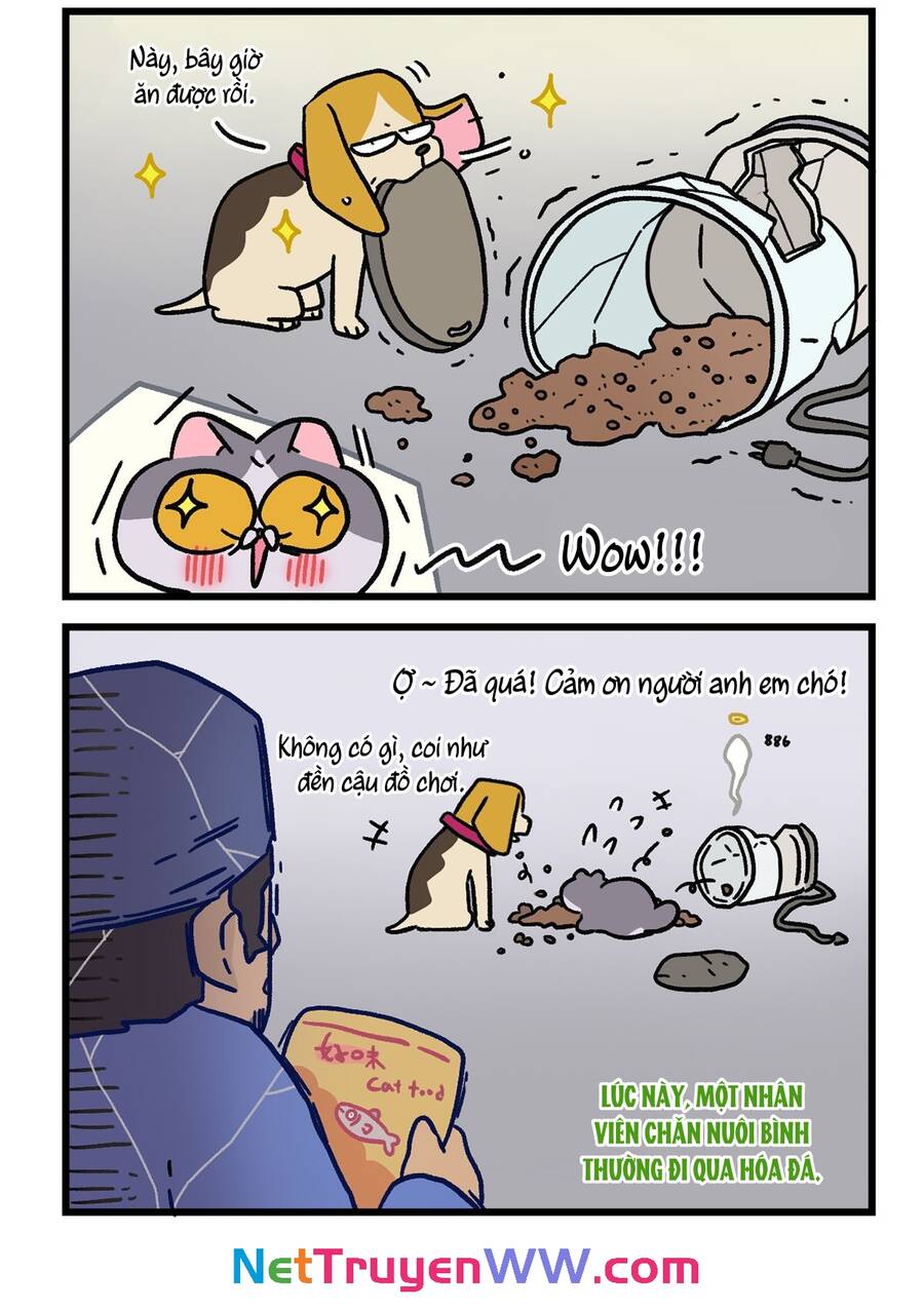 A Mãn Và Mạch Trà Chapter 128.1 - 6