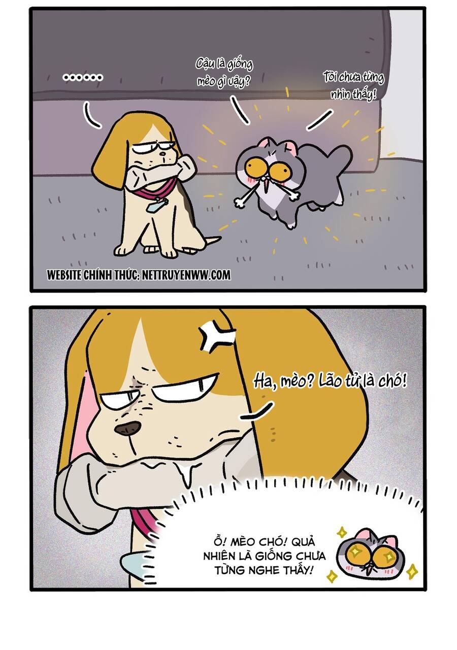 A Mãn Và Mạch Trà Chapter 128 - 2