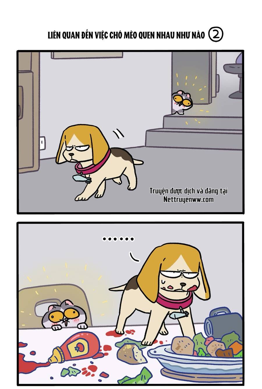 A Mãn Và Mạch Trà Chapter 128 - 3