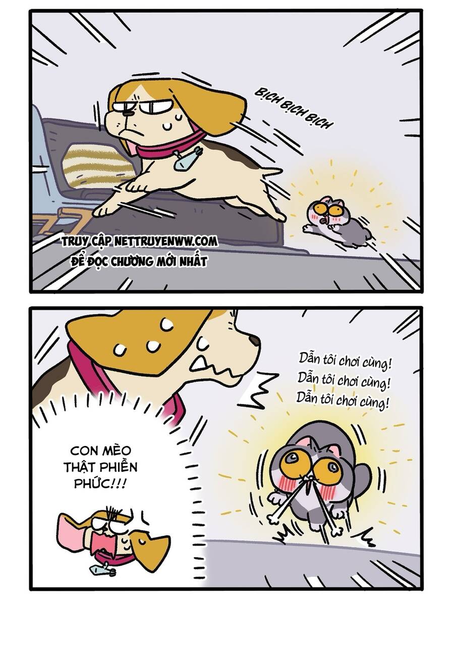 A Mãn Và Mạch Trà Chapter 128 - 4