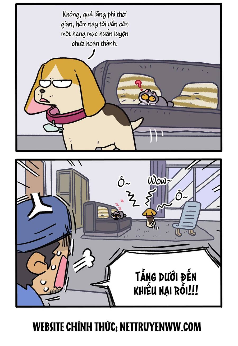 A Mãn Và Mạch Trà Chapter 129 - 2