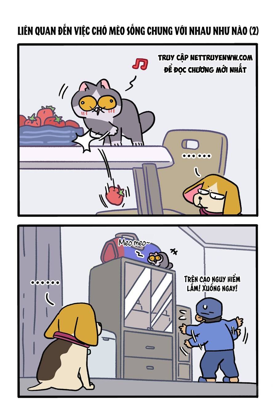 A Mãn Và Mạch Trà Chapter 129 - 3