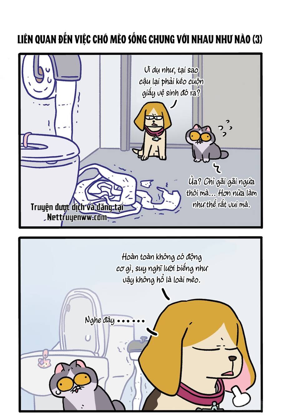 A Mãn Và Mạch Trà Chapter 129 - 5