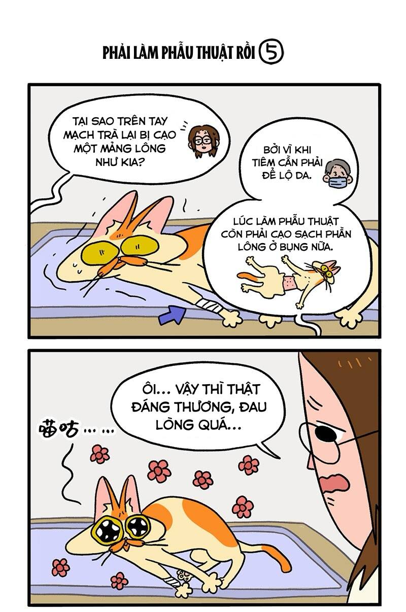 A Mãn Và Mạch Trà Chapter 13.1 - 3