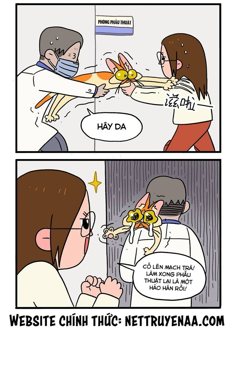 A Mãn Và Mạch Trà Chapter 13.1 - 6