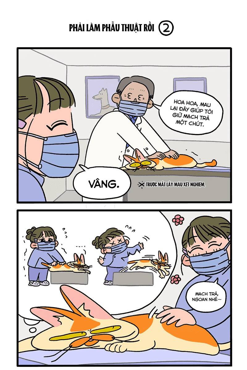 A Mãn Và Mạch Trà Chapter 13 - 3