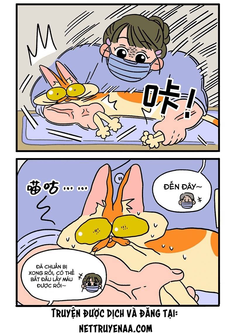 A Mãn Và Mạch Trà Chapter 13 - 4