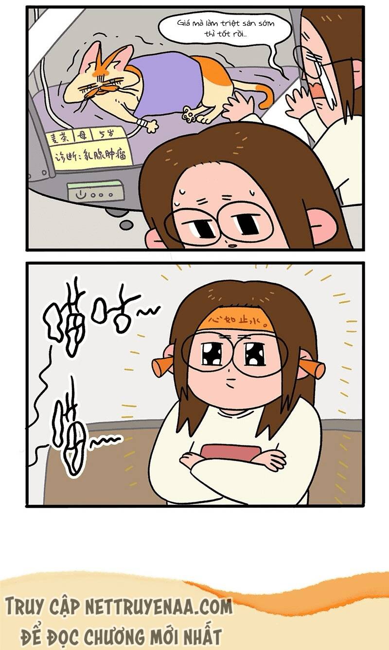 A Mãn Và Mạch Trà Chapter 13 - 6