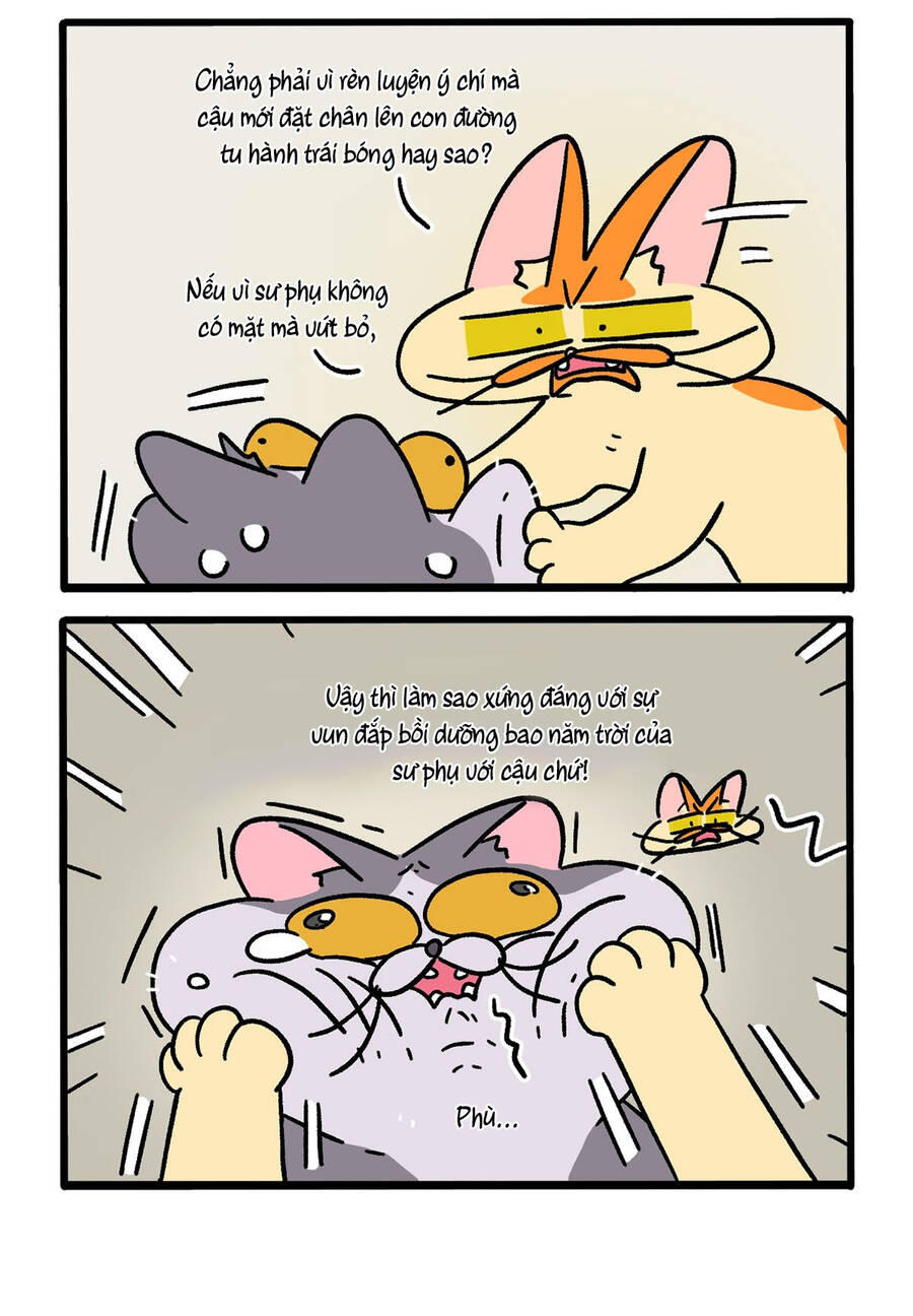 A Mãn Và Mạch Trà Chapter 131.1 - 2