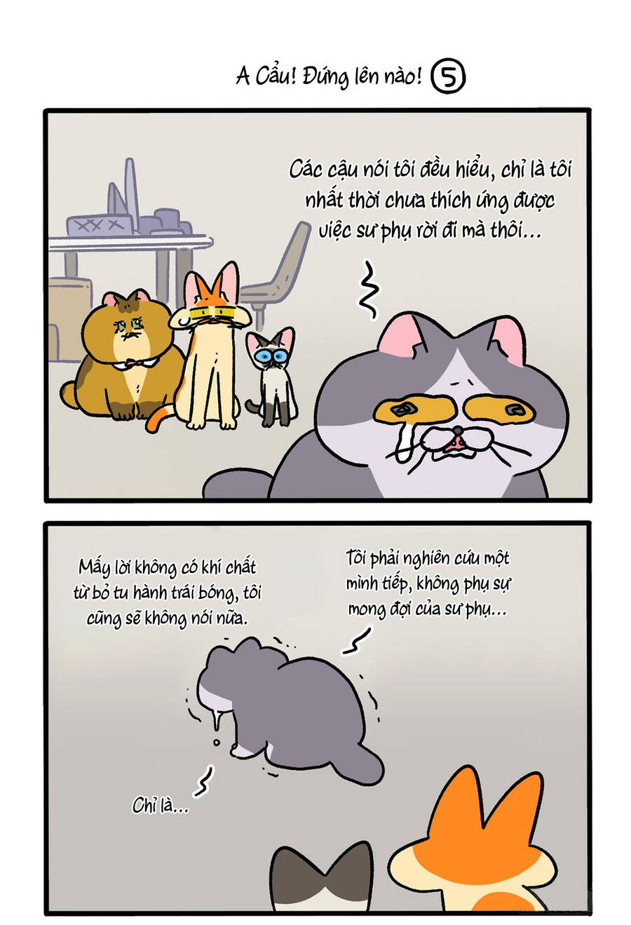 A Mãn Và Mạch Trà Chapter 131.1 - 3