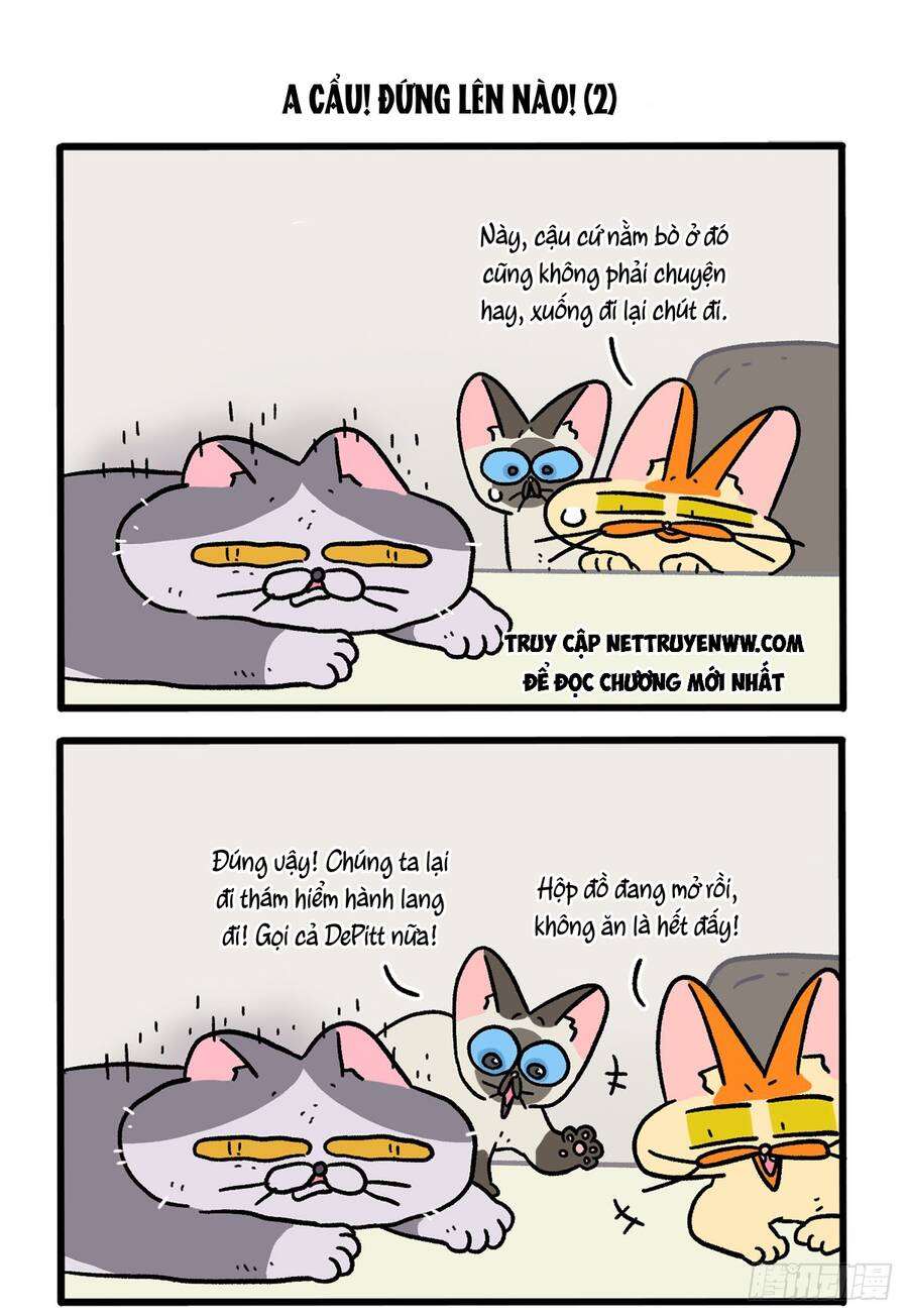 A Mãn Và Mạch Trà Chapter 131 - 3