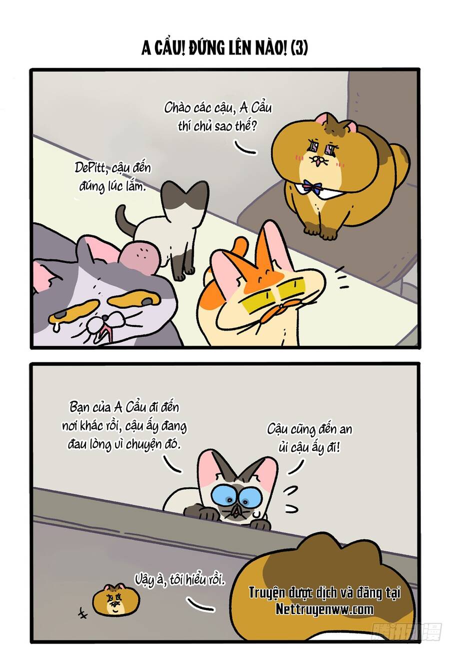 A Mãn Và Mạch Trà Chapter 131 - 5