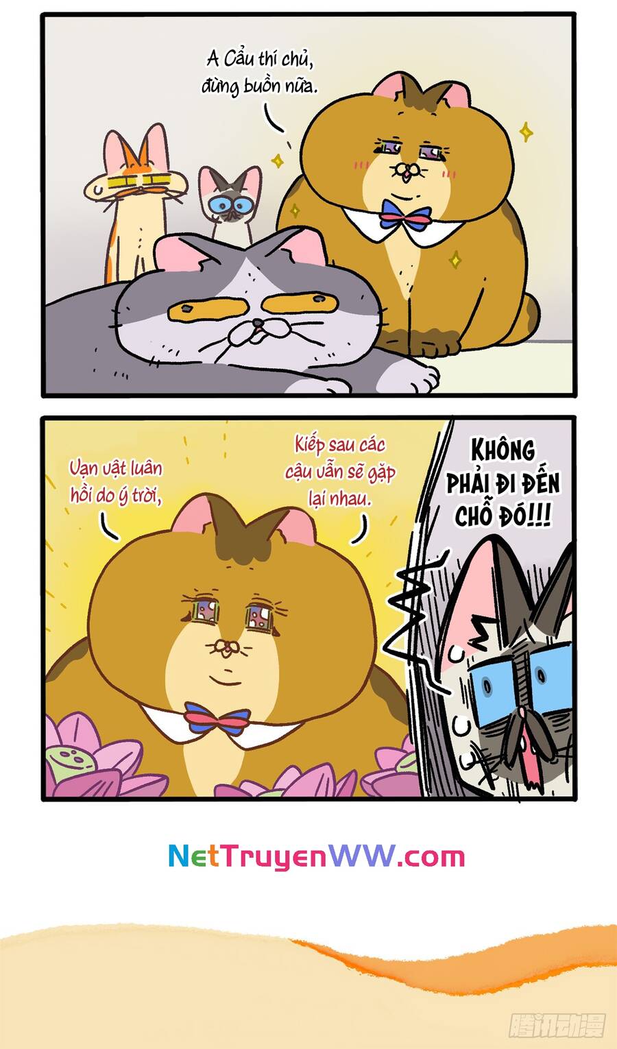 A Mãn Và Mạch Trà Chapter 131 - 6
