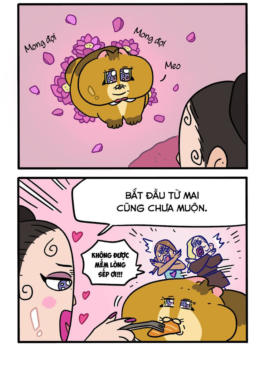 A Mãn Và Mạch Trà Chapter 132.1 - 2