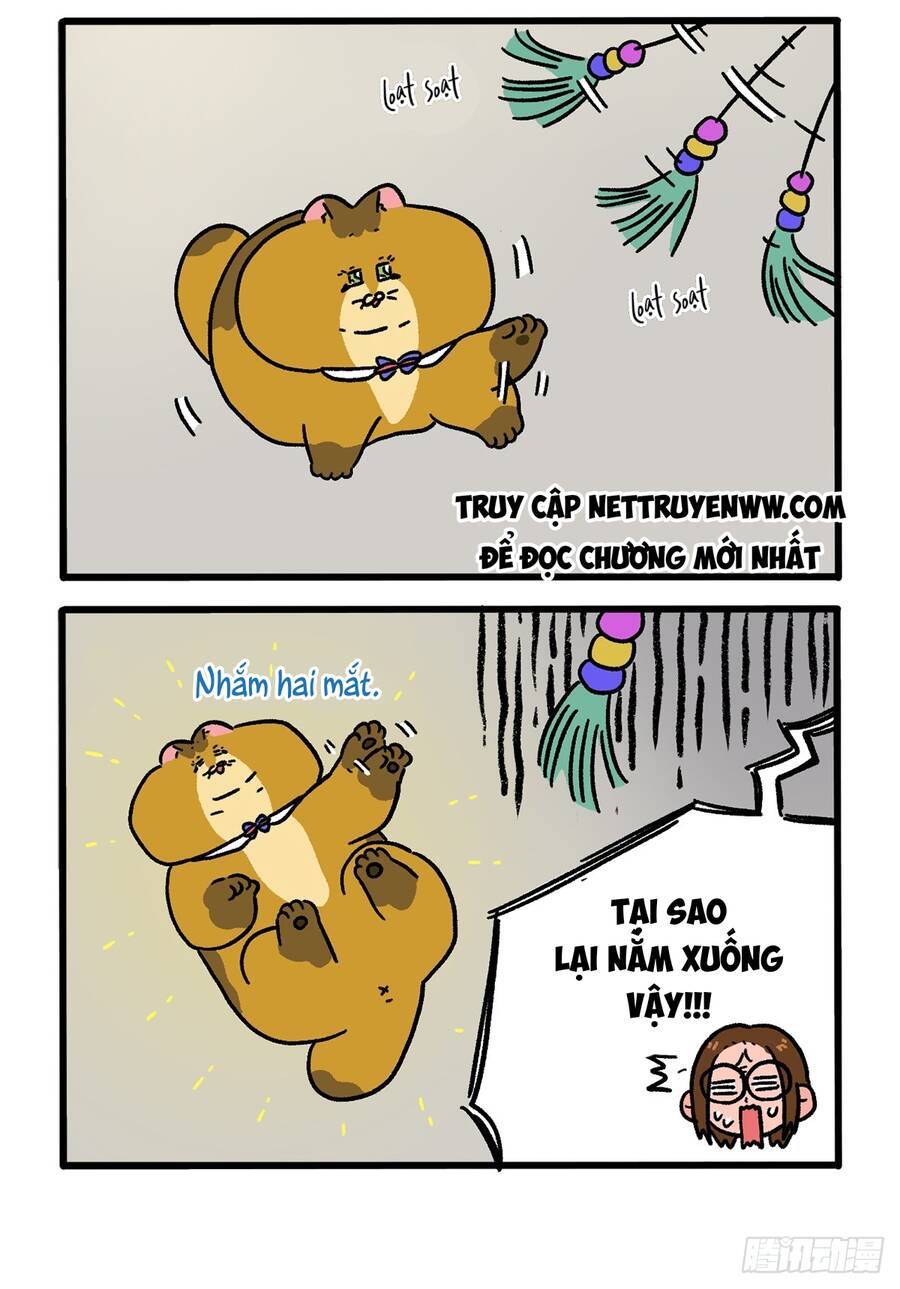 A Mãn Và Mạch Trà Chapter 133.1 - 2