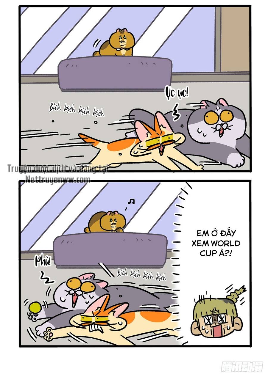 A Mãn Và Mạch Trà Chapter 133.1 - 4