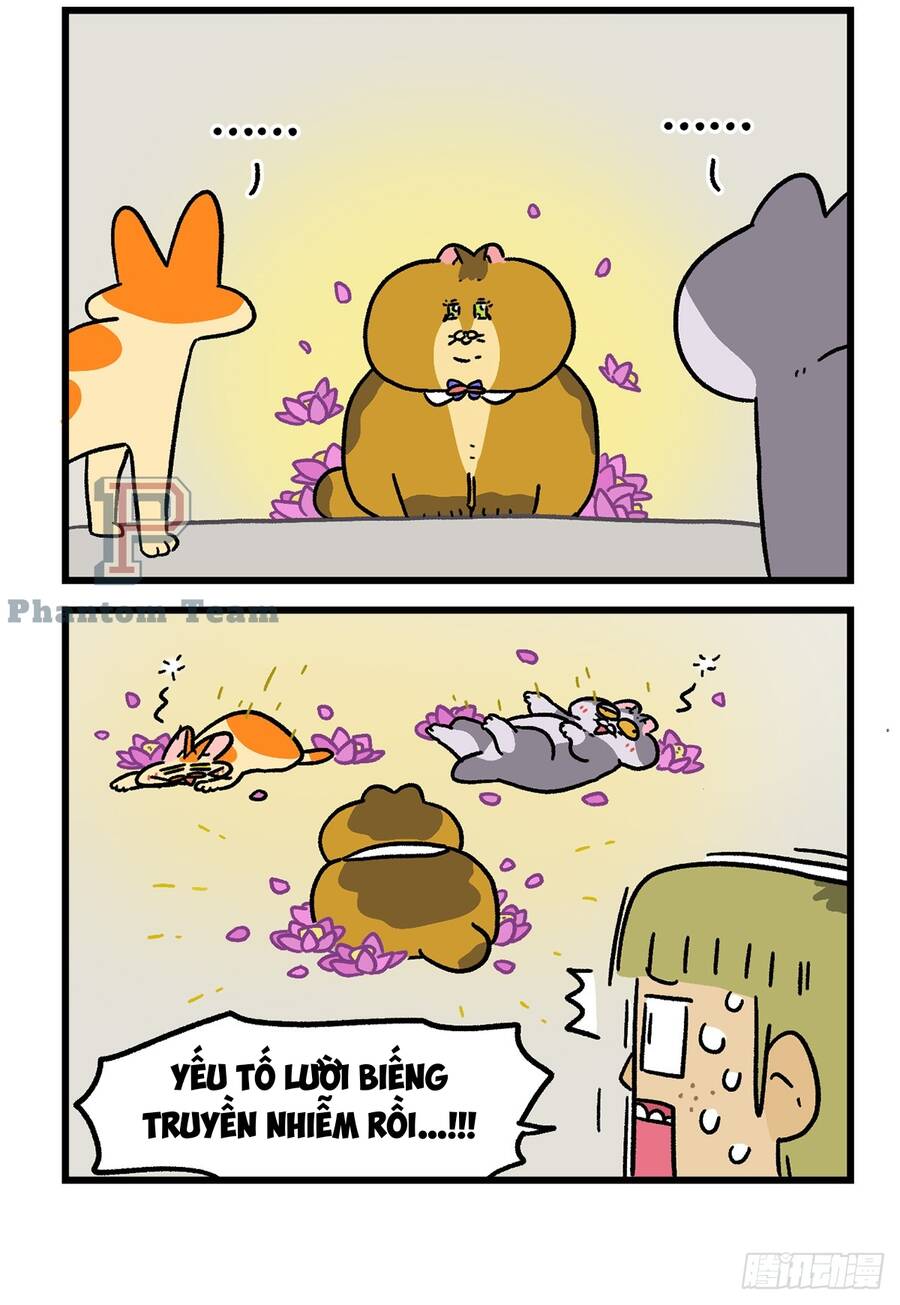 A Mãn Và Mạch Trà Chapter 133.1 - 6