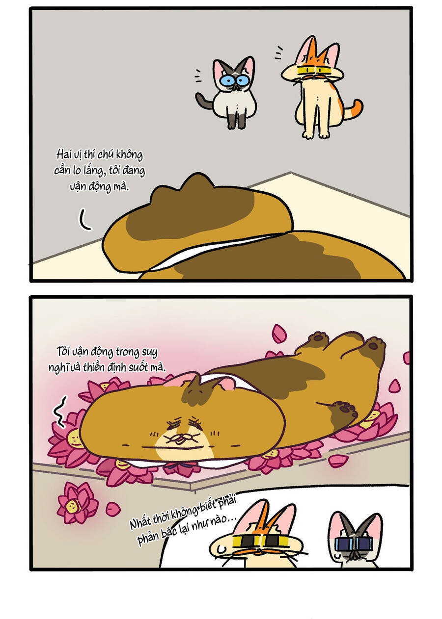 A Mãn Và Mạch Trà Chapter 134.1 - 2