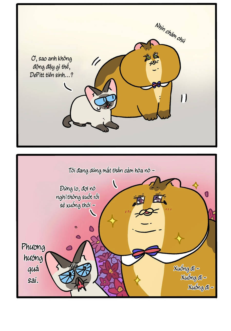A Mãn Và Mạch Trà Chapter 134.1 - 4