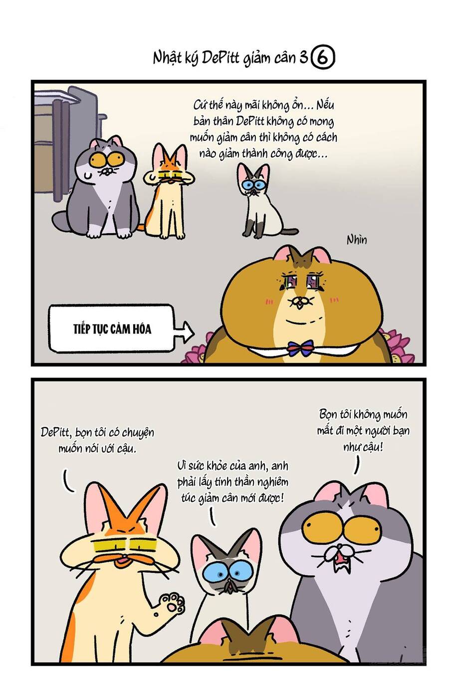 A Mãn Và Mạch Trà Chapter 134.1 - 5