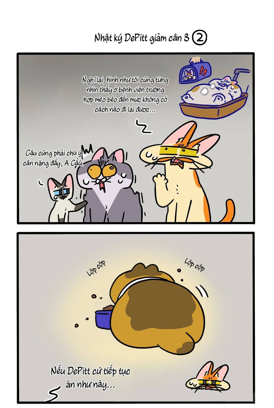 A Mãn Và Mạch Trà Chapter 134 - 3