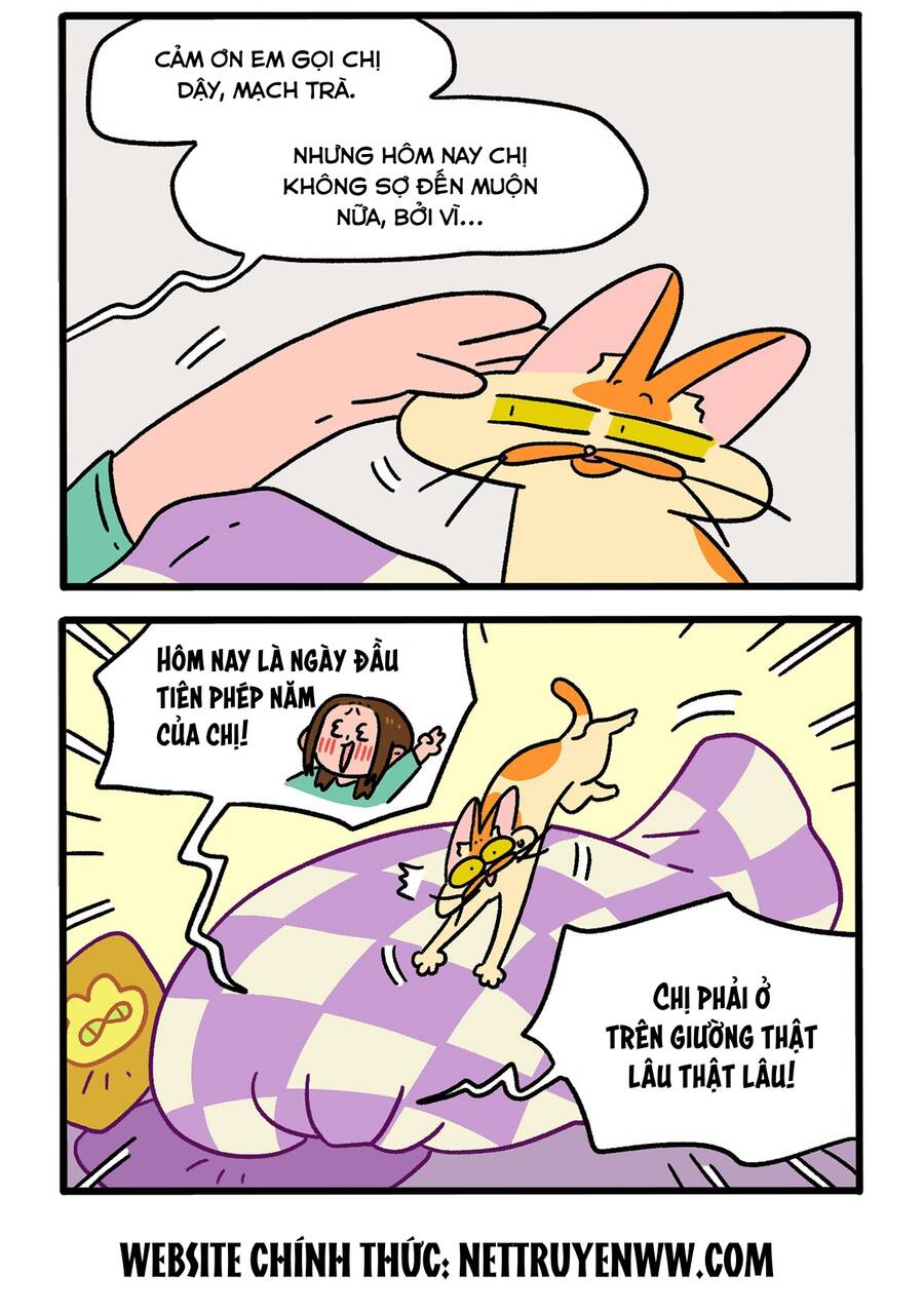 A Mãn Và Mạch Trà Chapter 136 - 2