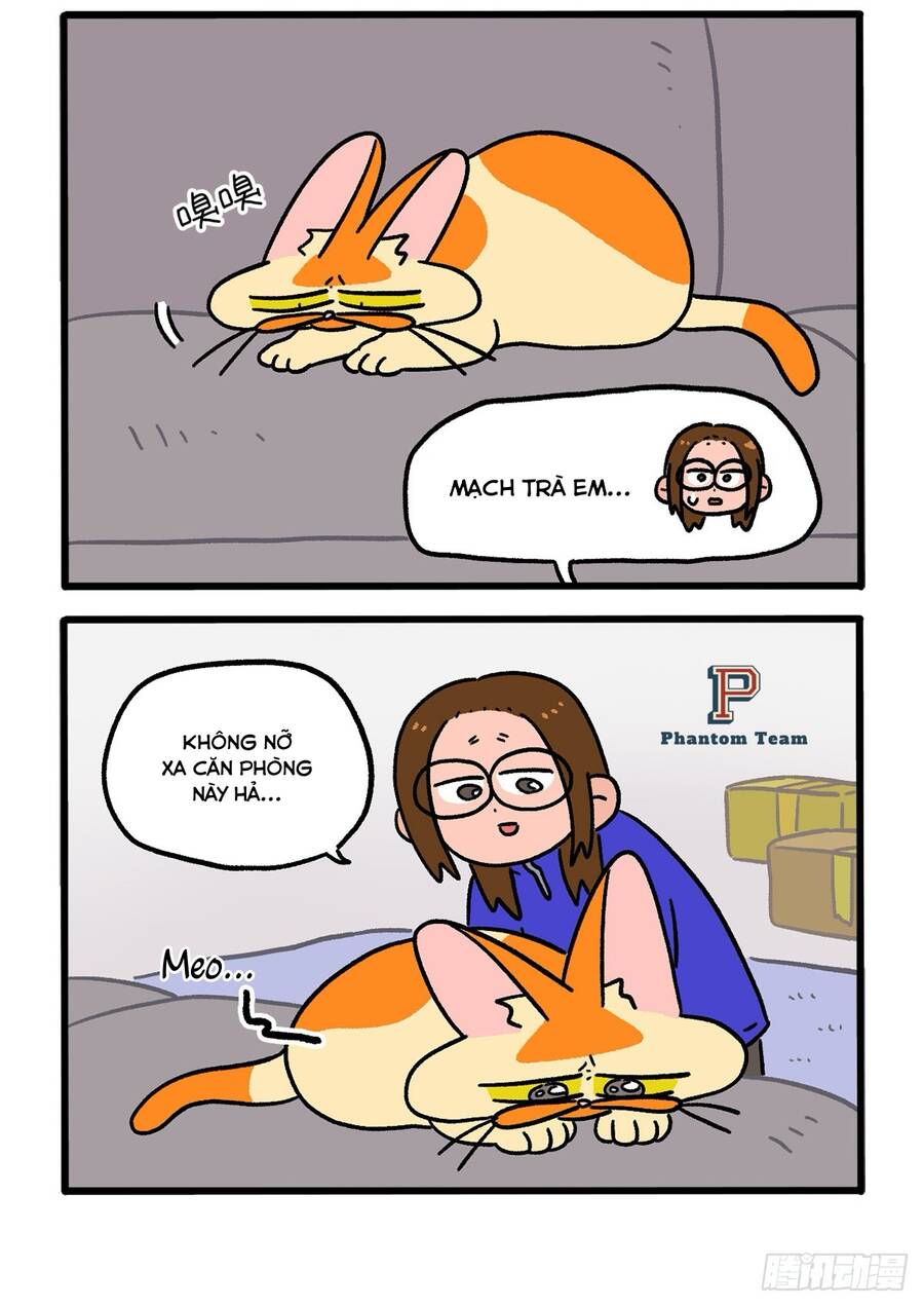 A Mãn Và Mạch Trà Chapter 138.1 - 2