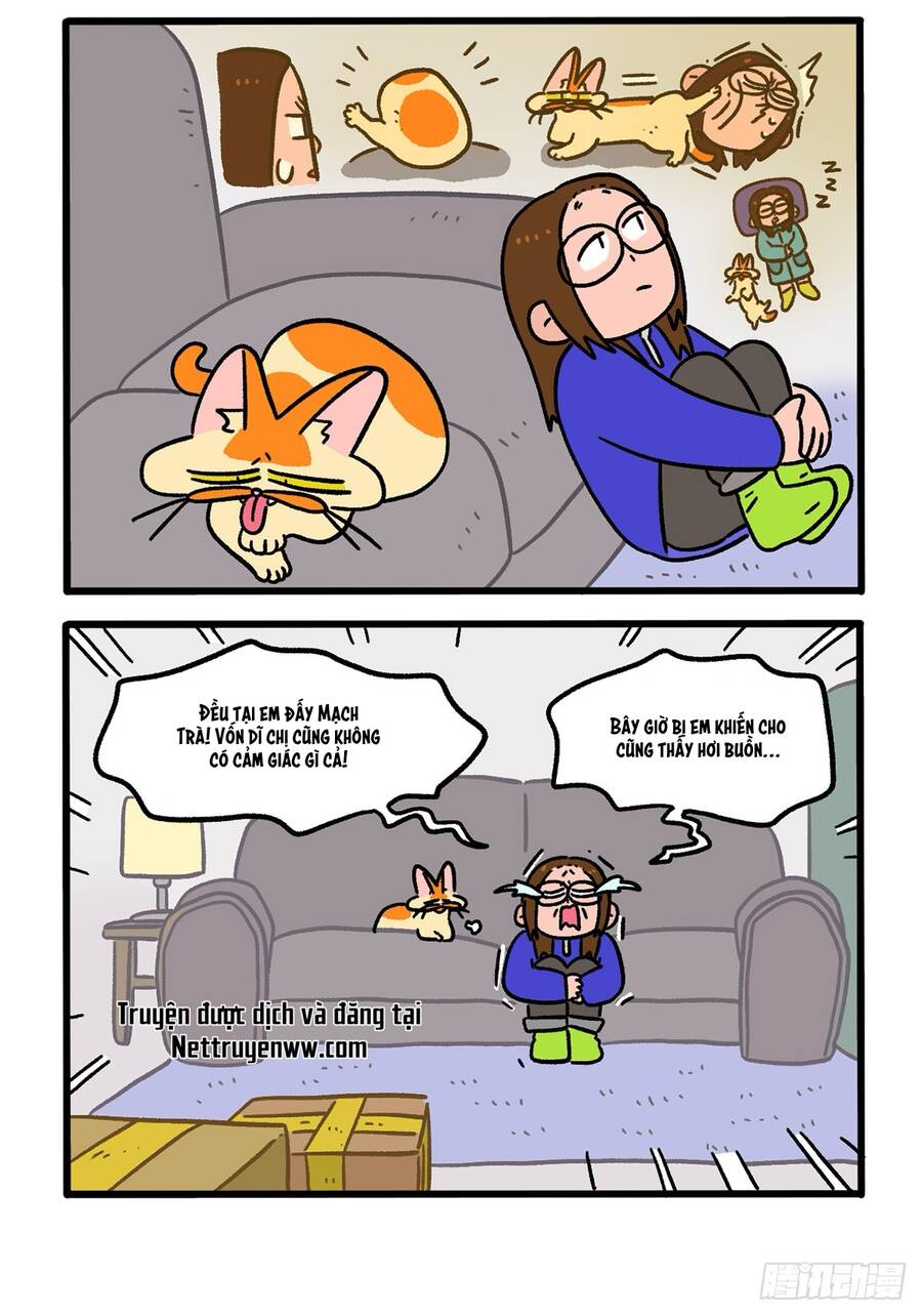 A Mãn Và Mạch Trà Chapter 138.1 - 4