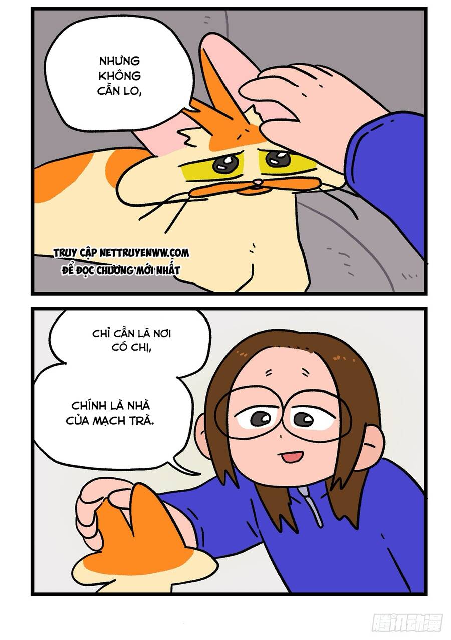 A Mãn Và Mạch Trà Chapter 138.1 - 6