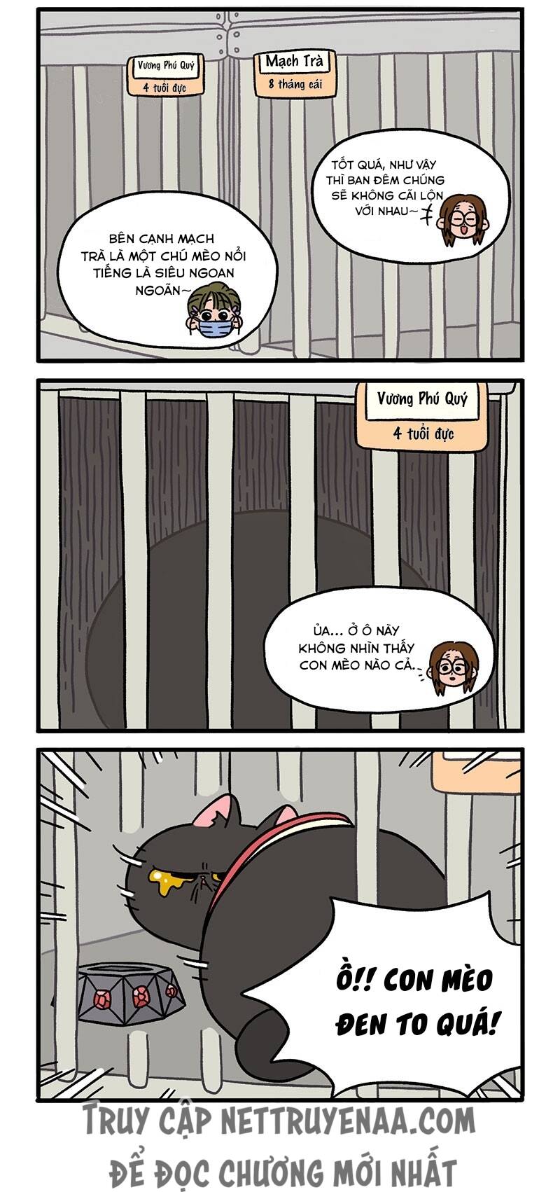 A Mãn Và Mạch Trà Chapter 14 - 2