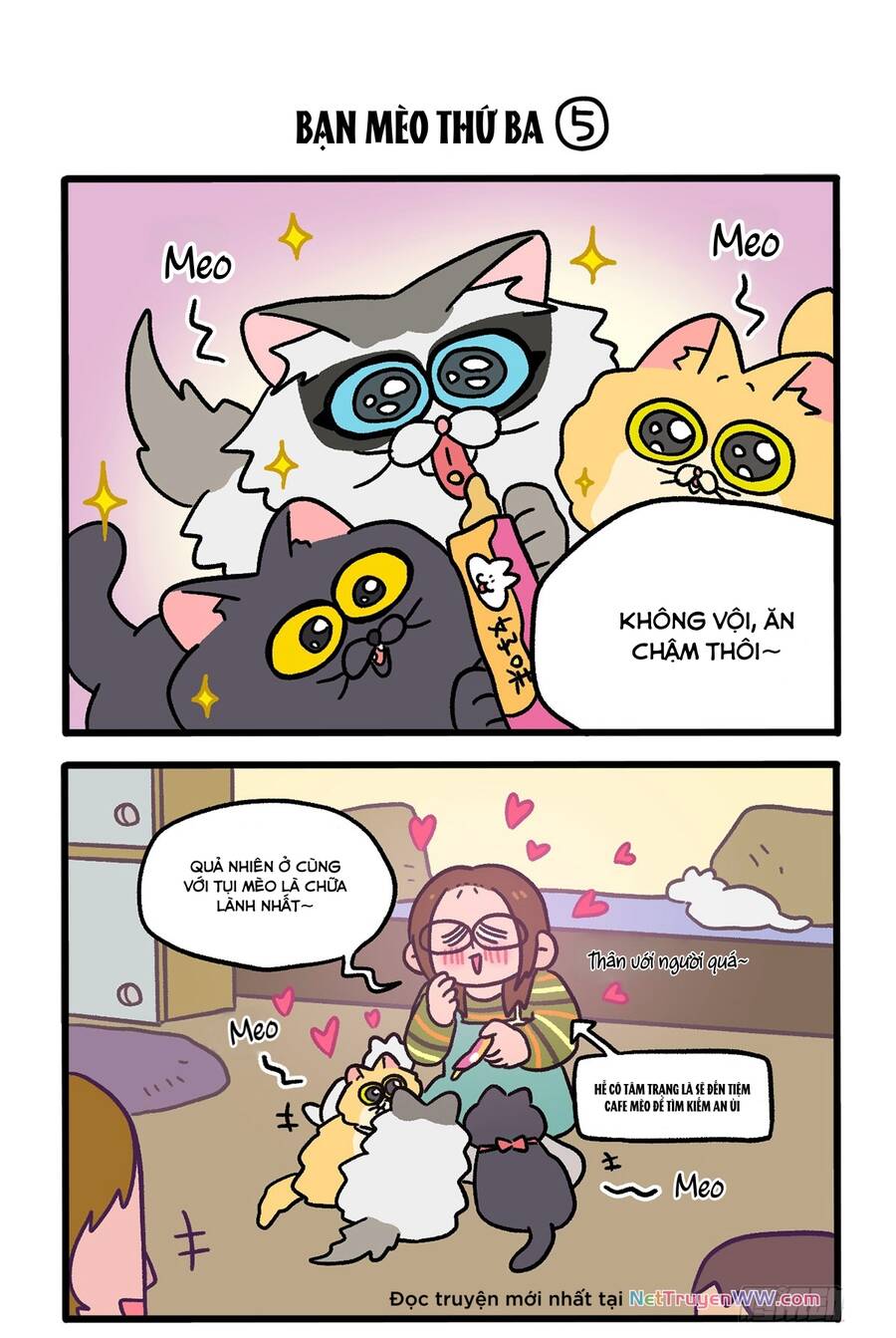 A Mãn Và Mạch Trà Chapter 141.1 - 3