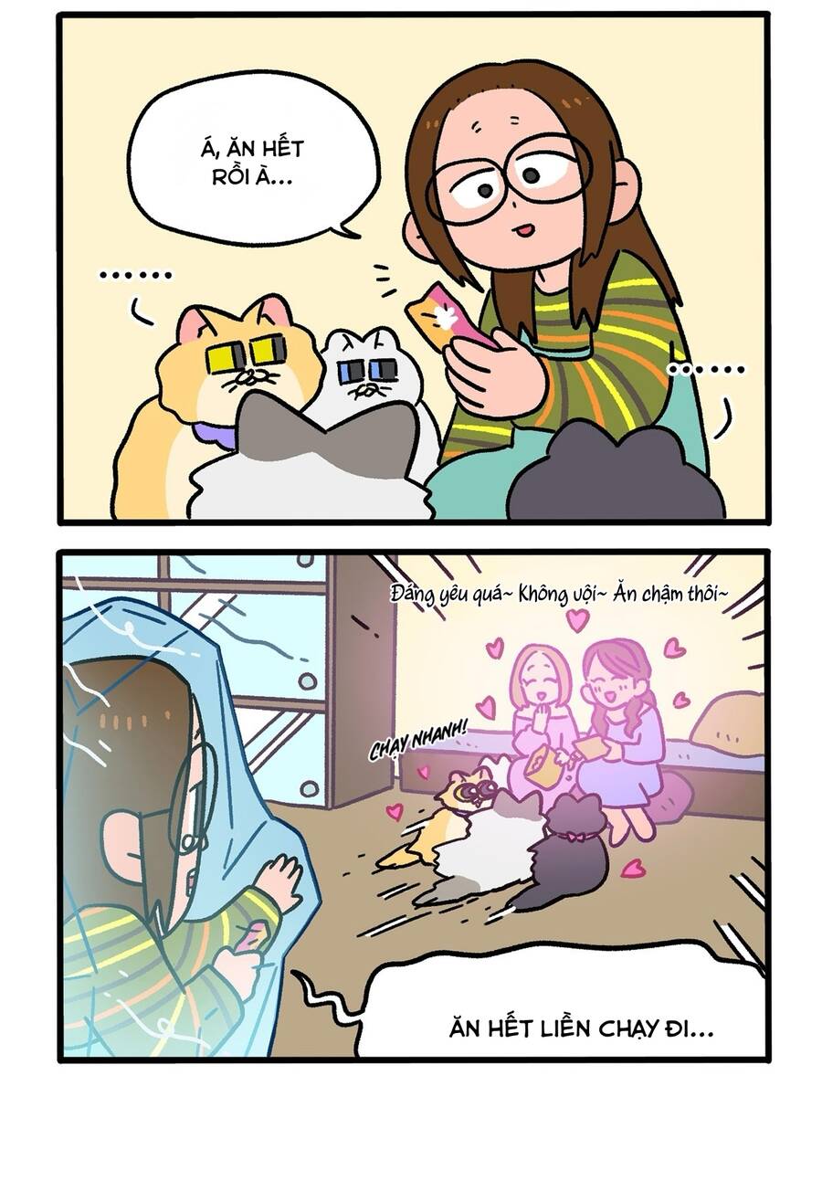 A Mãn Và Mạch Trà Chapter 141.1 - 4