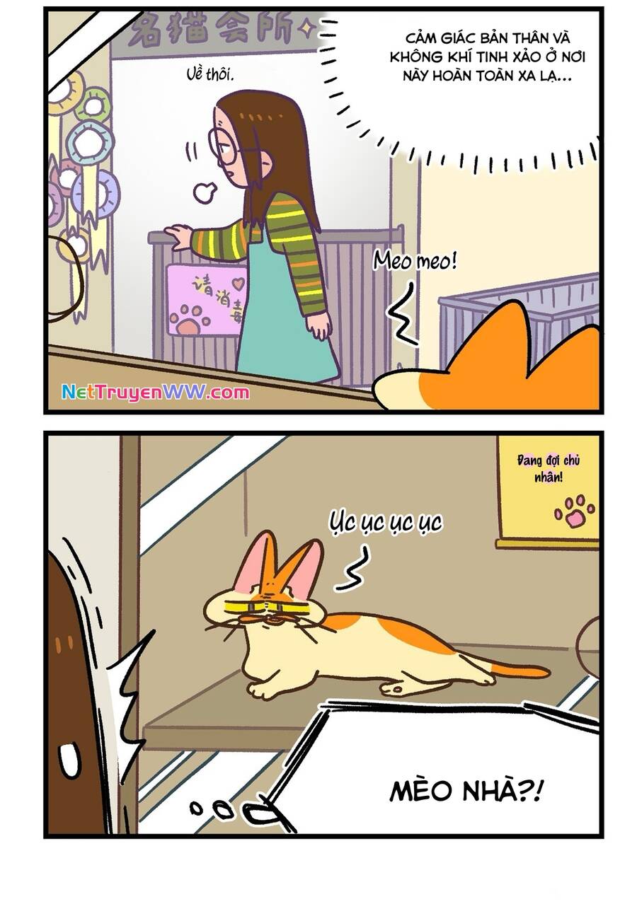 A Mãn Và Mạch Trà Chapter 141.1 - 6