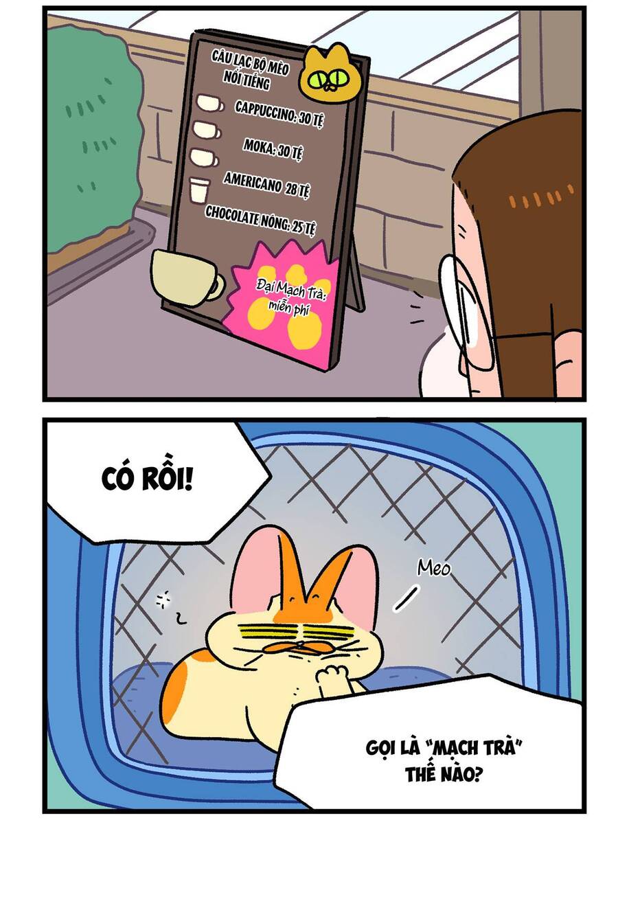 A Mãn Và Mạch Trà Chapter 142.1 - 6
