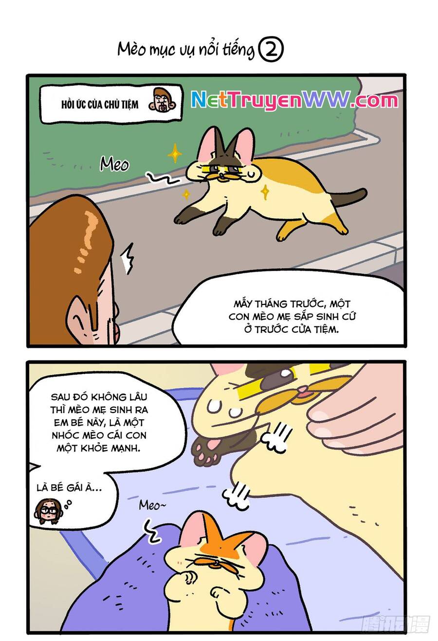 A Mãn Và Mạch Trà Chapter 142 - 3